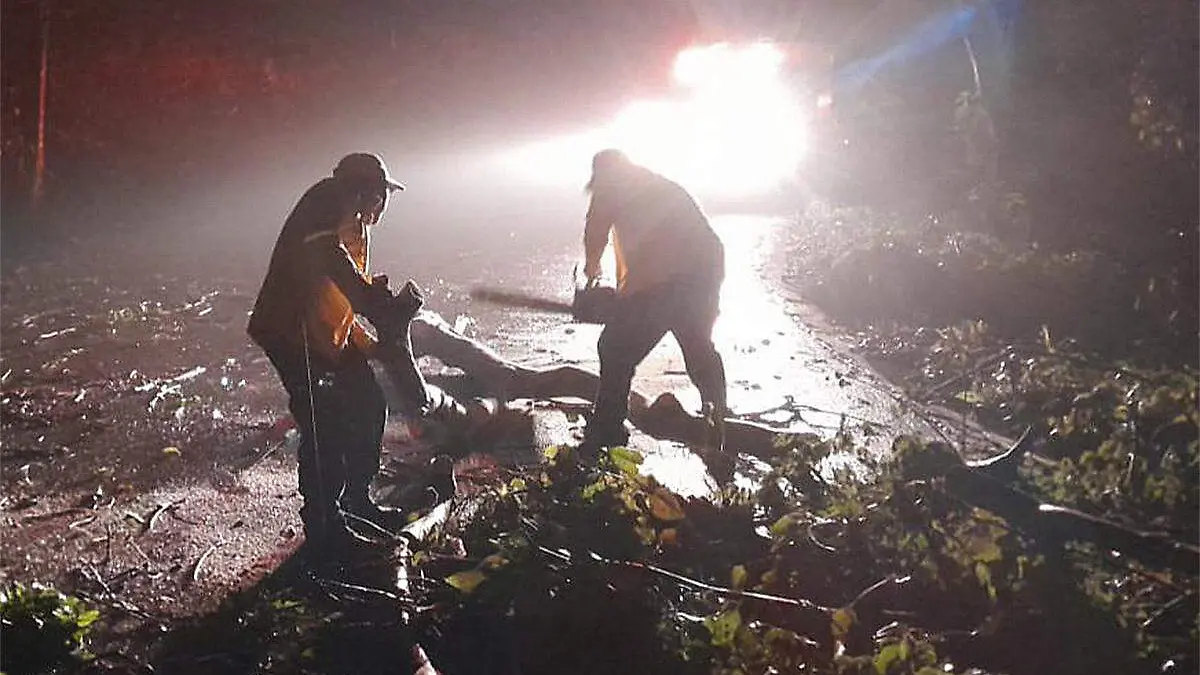 Afectaciones en Veracruz tras lluvias de la onda tropical 22